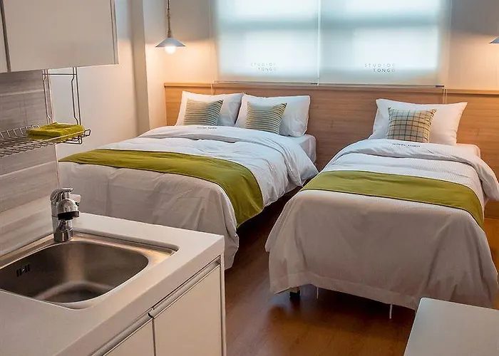 Tong Vivace Dongdaemun Hotel Seoul